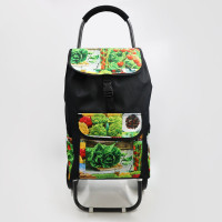 Господарська сумка-візок 334-N2 на колесах  міцна та компактна тачка для покупок і повсякденного використання